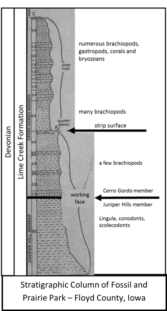 Stratigraphic Column of Fossil and Prairie Park